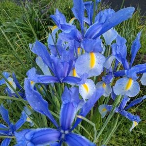 Meet your Posher, Meghan